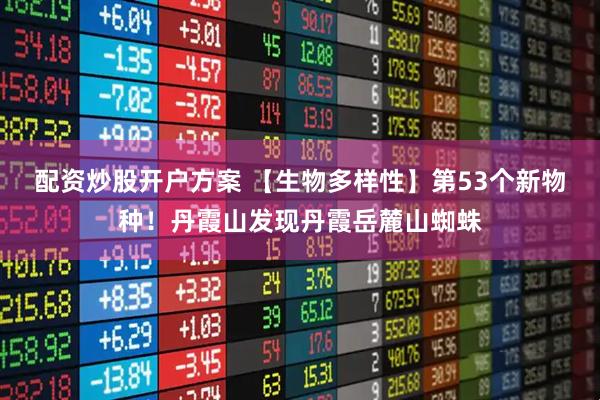 配资炒股开户方案 【生物多样性】第53个新物种！丹霞山发现丹霞岳麓山蜘蛛