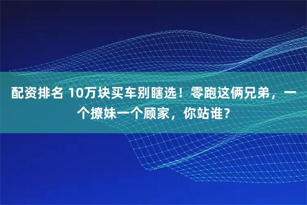 配资排名 10万块买车别瞎选！零跑这俩兄弟，一个撩妹一个顾家，你站谁？